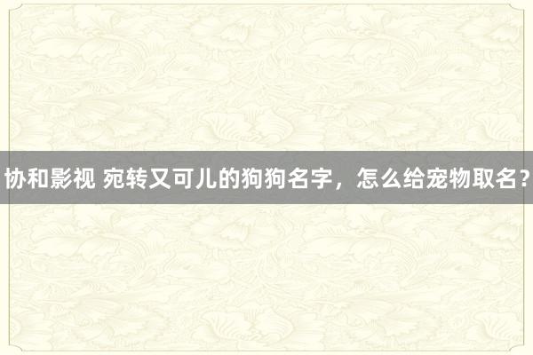 协和影视 宛转又可儿的狗狗名字，怎么给宠物取名？