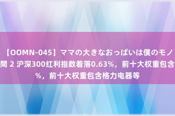 【OOMN-045】ママの大きなおっぱいは僕のモノ 総集編4時間 2 沪深300红利指数着落0.63%，前十大权重包含格力电器等