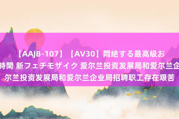 【AAJB-107】【AV30】悶絶する最高級おっぱい生々しい性交 4時間 新フェチモザイク 爱尔兰投资发展局和爱尔兰企业局招聘职工存在艰苦