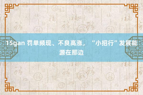 15gan 罚单频现、不良高涨， “小招行”发展能源在那边