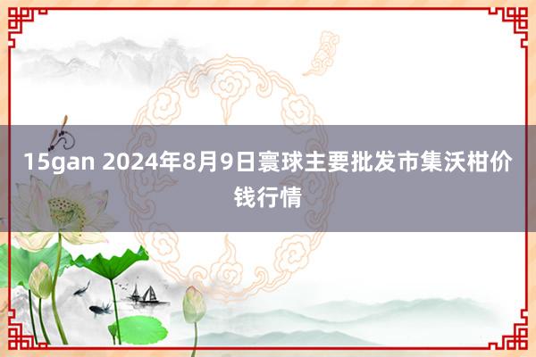 15gan 2024年8月9日寰球主要批发市集沃柑价钱行情