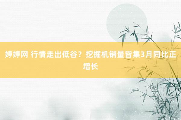 婷婷网 行情走出低谷？挖掘机销量皆集3月同比正增长