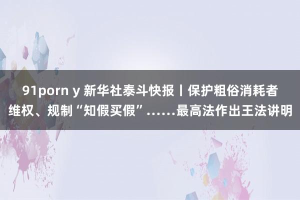 91porn y 新华社泰斗快报丨保护粗俗消耗者维权、规制“知假买假”……最高法作出王法讲明