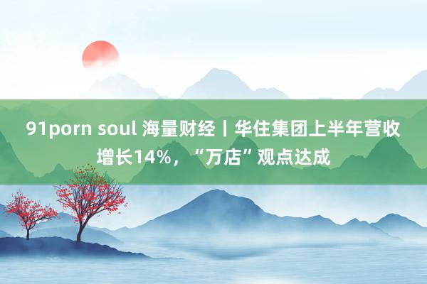 91porn soul 海量财经丨华住集团上半年营收增长14%，“万店”观点达成