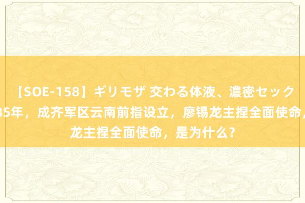 【SOE-158】ギリモザ 交わる体液、濃密セックス Ami 1985年，成齐军区云南前指设立，廖锡龙主捏全面使命，是为什么？