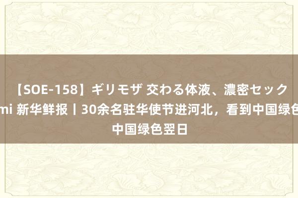 【SOE-158】ギリモザ 交わる体液、濃密セックス Ami 新华鲜报丨30余名驻华使节进河北，看到中国绿色翌日