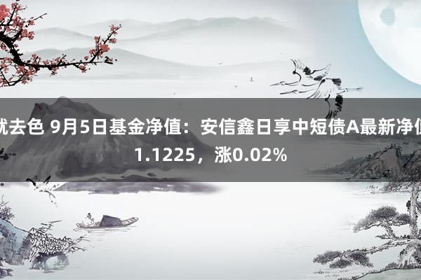 就去色 9月5日基金净值：安信鑫日享中短债A最新净值1.1225，涨0.02%