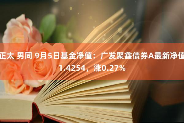 正太 男同 9月5日基金净值：广发聚鑫债券A最新净值1.4254，涨0.27%