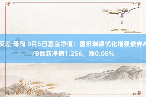 反差 母狗 9月5日基金净值：国投瑞银优化增强债券A/B最新净值1.256，涨0.08%