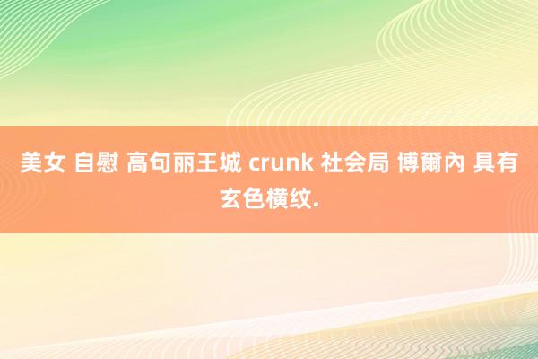 美女 自慰 高句丽王城 crunk 社会局 博爾內 具有玄色横纹.