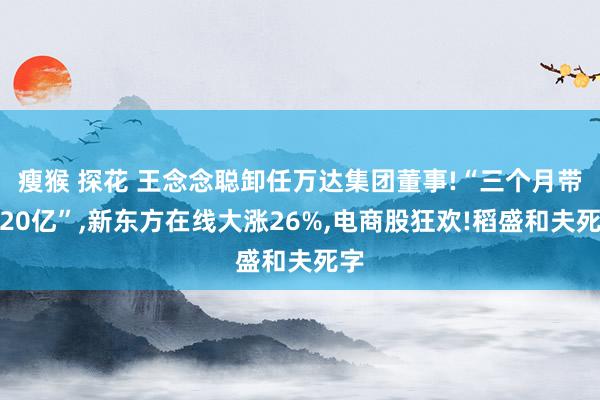 瘦猴 探花 王念念聪卸任万达集团董事!“三个月带货20亿”，新东方在线大涨26%，电商股狂欢!稻盛和夫死字